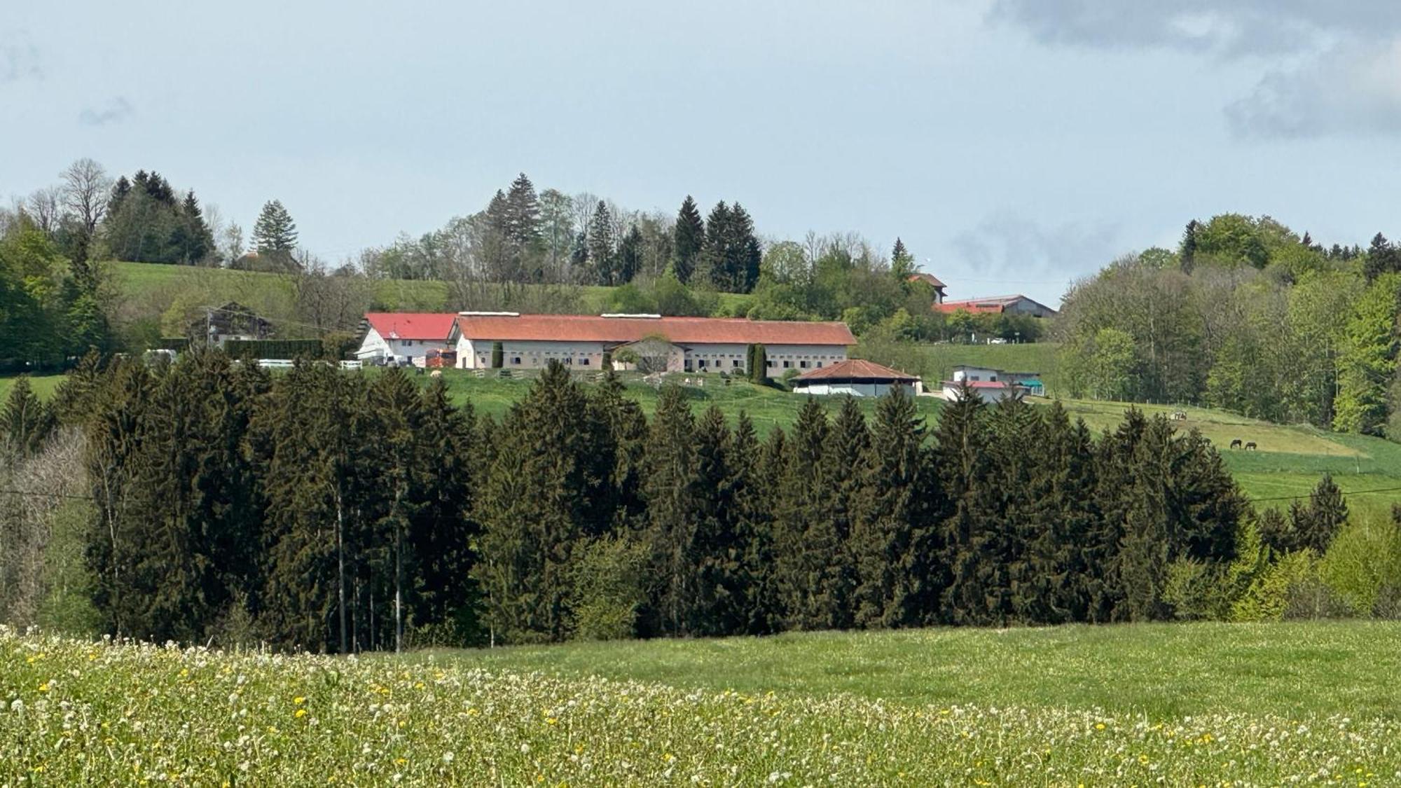 Gut Buchenhof